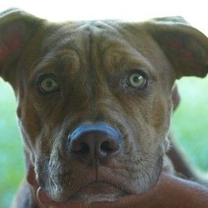 Meet your Posher, Keith